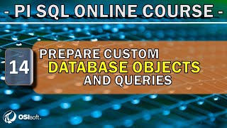 PI SQL - Prepare custom database objects and queries