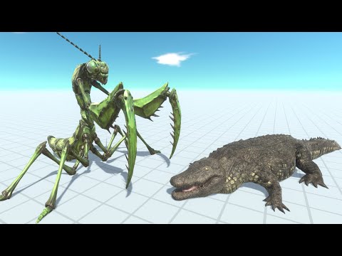 Gaint Praying Mantis VS Purussaurus (Animal Revolt Battle Simulator)