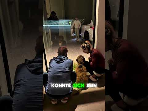 Sie warteten um ihn zu trösten ❤️