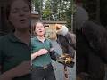Sitka A Bald Eagle Starting Off Her Week With A Vocalization BaldEagle DidYouKnow MondayMood
