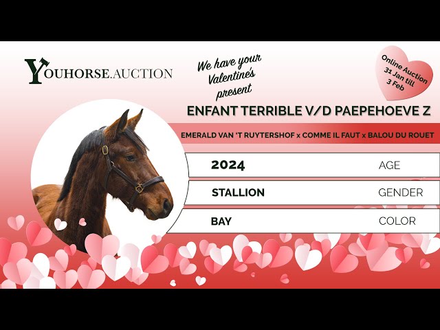Enfant Terrible vd Paepehoeve Z