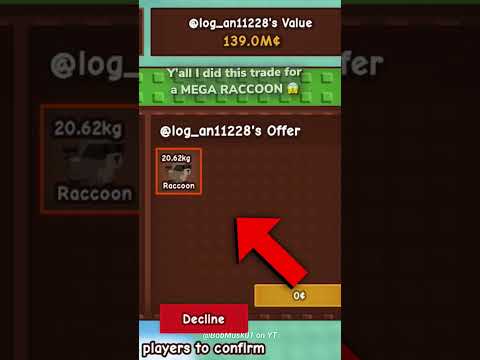 I Got MEGA RACCOON For THESE!! 😰 | W or L? 😵‍💫