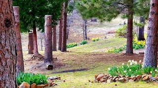 เที่ยวบ้านพักร้อนช่วงซัมเมอร์วิวสวยน้ำใสมาก