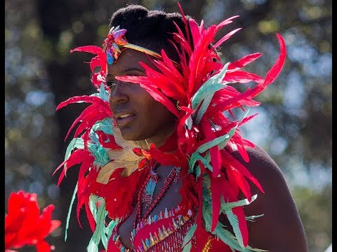 Oakland Carnaval 2018: Mosswood Park