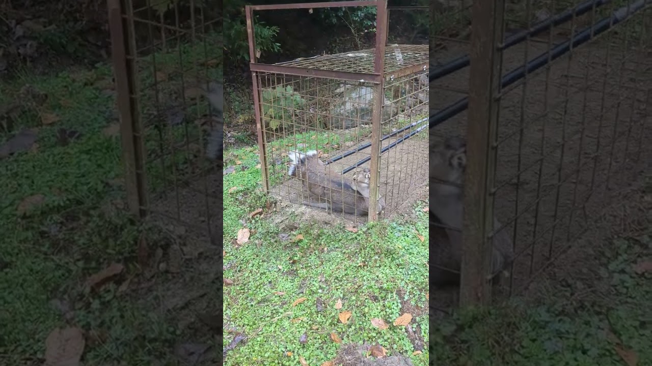 PXL 20221112 223647148