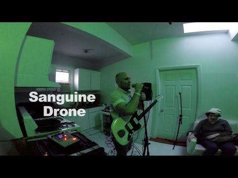 Sanguine Drone - Half Life (Skeleton Beach)