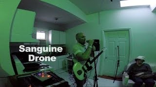 Sanguine Drone - Half Life (Skeleton Beach)