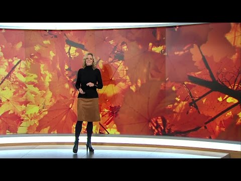 Metrologen kämpar med tekniken - Nyhetsmorgon (TV4)