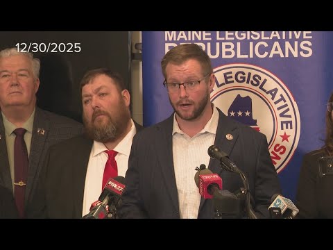 Comparing Minnesota and Maine's medicaid fraud cases