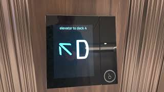 How To Use Star Princess Smart Elevators (Complete Guide & Walkthrough) 📱