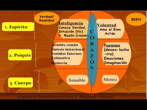 Emociones, pasiones y sentimientos Parte 1