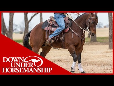 Clinton Anderson: How to Get Your Horse to Go Forward - Downunder Horsemanship