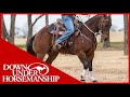 Clinton Anderson How To Get Your Horse To Go Forward Downunder Horsemanship