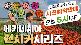 [15% OFF] 에키네시아 썬시커 시리즈 사전예약판매 시작! 품절대란상품 드디어 다시 모셨습니다 ^^