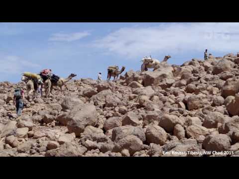 Rede des Communicator-Preisträgers 2017 Dr. Stefan Kröpelin