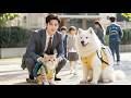 Daddy This Is My Mommy CEO Found His Lost Cinderella And Took Her Home To Spoil Kdrama ChineseDrama