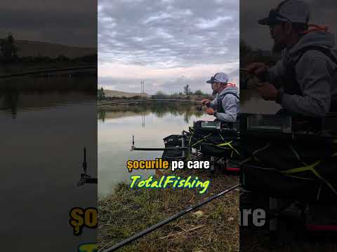 Wędka Okuma 8k Feeder 11ft 330cm 45g (2024) film wideo