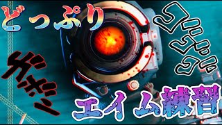 【検証】エイム練習1時間やったらガチヤバい結果でた！