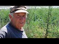 Био ферма Софина - обработване на земята за засаждане на био моркови, част 2