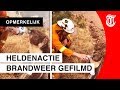 Actie van Australische bandweerman gaat viral