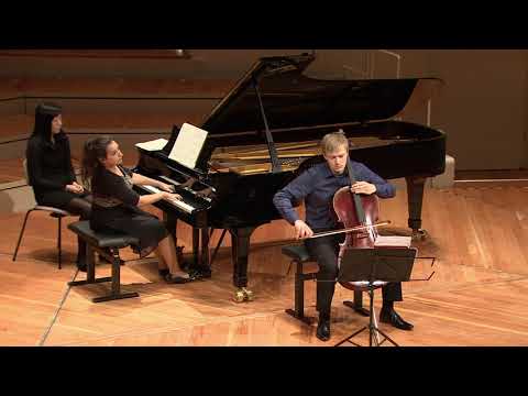 J. Brahms Sonata F Major Op. 99, I. Allegro vivace Daniel Wachsmuth, Ludmilla Kogan