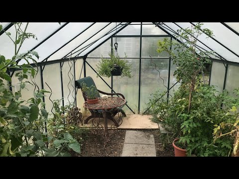 Video-Thumbnail von YouTube