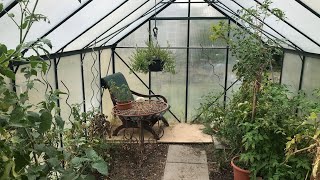 Video-Thumbnail von YouTube