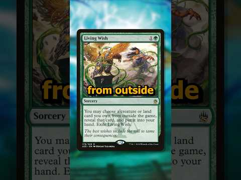 Make A Wish Magic The Gathering