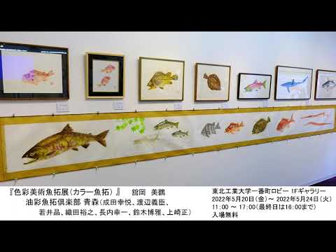 色彩美術魚拓展（カラー魚拓）額縁から飛び出し今にも泳ぎ出しそうな魚たち