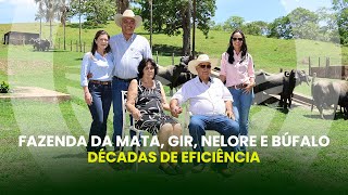 PRODUCES – EP 56 | Efficiency in pasture, superior genetics, and truths about buffalo meat and milk.