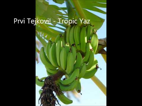 Prvi Tejkovi! - Tropic Yaz