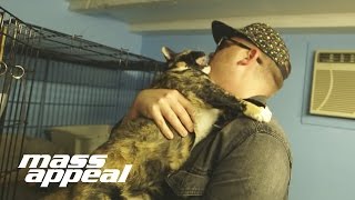 Meow The Jewels: El-P Auditions Cats
