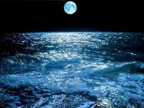 Kan Revan İçindeyim - Düş Sokağı Sakinleri