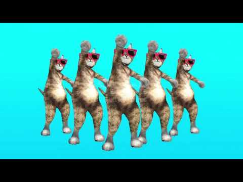 joli by dream tander ft adoka (official  lyric video)