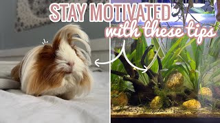 Ways To Stay Motivated With Pets || My TOP 6 Tips To Help You Get Motivated
