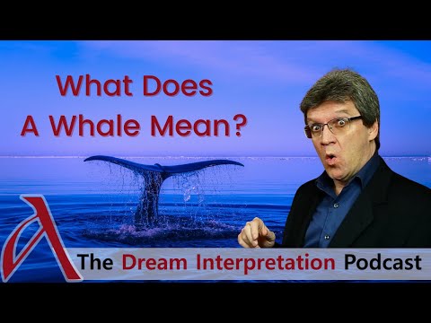 Dream: The Whale