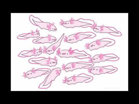 MPS 2022 - Soundtrack