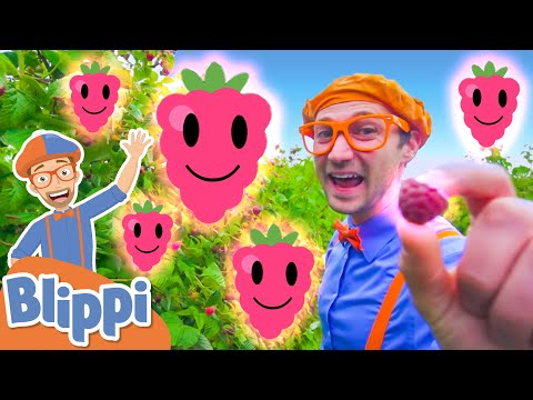 Raspberry Song - Part 2 | BLIPPI Music | Educational Songs For Kids