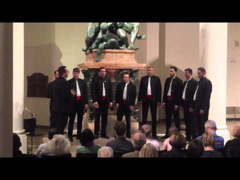 Zdravo Tijelo - Klapa Croatia München