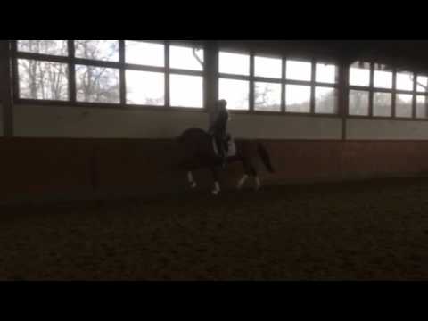 Jmero von Worrenberg