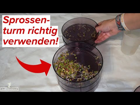 So verwendet man einen Sprossenturm richtig [Schritt für Schritt erklärt]