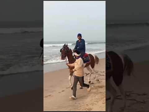 Puri 🏖 masti time#shailu#horseriding#trendingshorts#shortvideo#purijagannadh