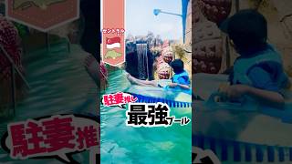 【#シンガポール 】 観光名所セントーサ島に子連れで行くならココ！　#shorts #singapore