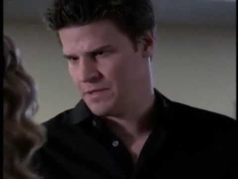 Angel & Buffy + Broken™