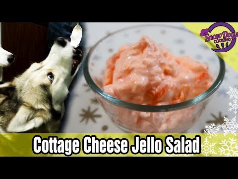 download lagu mp3 mp4 Jello With Cottage Cheese, download lagu Jello With Cottage Cheese gratis, unduh video klip Jello With Cottage Cheese