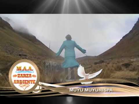 ZARZA ARDIENTE -Muyu Muyurispa