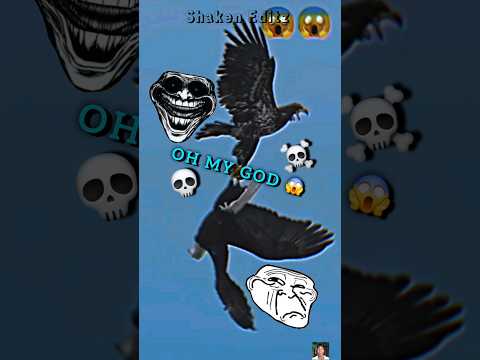 Falcon Vs Eagle 💀 Moment Before Disaster... #troll #trollface #viralvideo #shorts