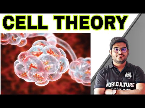 what is Crop physiology crop physiology kya hai crop physiology bsc ag second semester