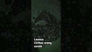 Download lagu Karedok Leunca anu urang sunda mp3 Download lagu Karedok Leunca anu urang sunda mp3