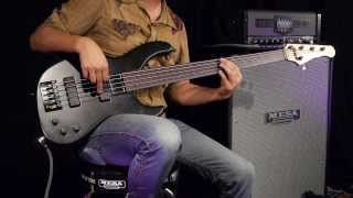 Video thumbnail for MESA/Boogie Bass Strategy 8:88 – Fretless Walking by MESA/Boogie